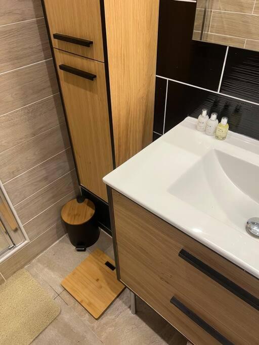 Appartement Style Chalet Standing 2 A 6 Personnes La Bourboule Ngoại thất bức ảnh